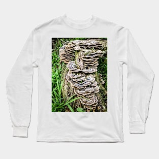 Mushroom Stump. Long Sleeve T-Shirt